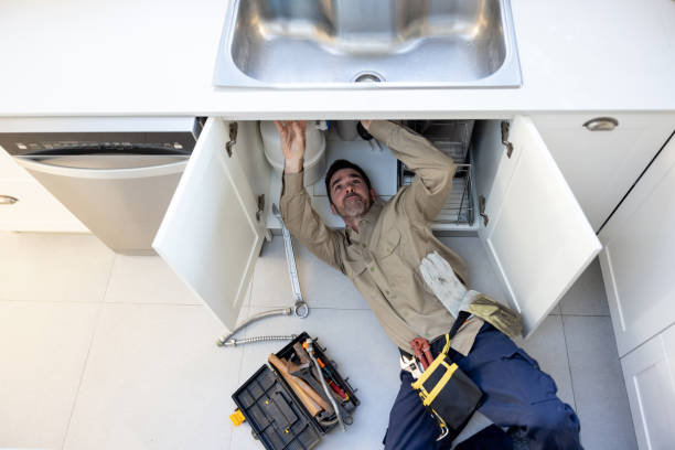 Best Plumbing Services Near Me  in Whitg, IN
