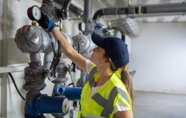 Best Plumbing Inspection Services  in Whitg, IN