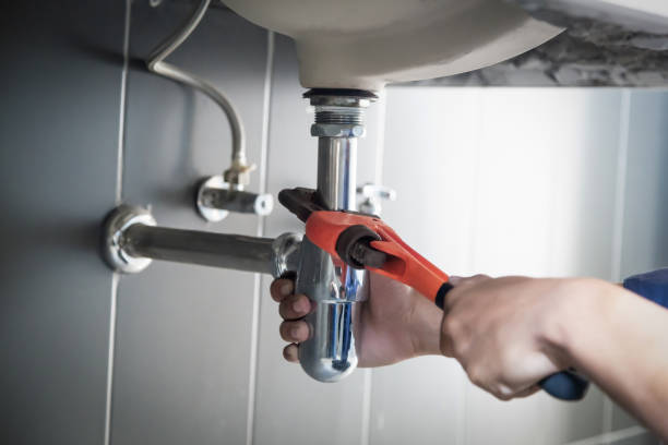 Best Clogged Drain Plumber  in Whitg, IN