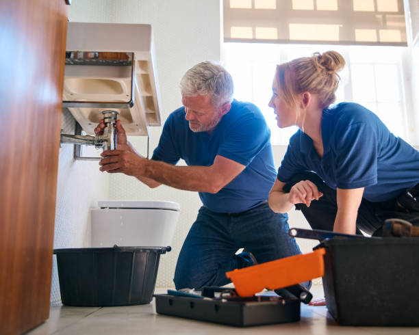Best Drain Cleaning Services  in Whitg, IN